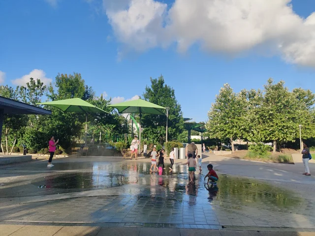 Evelyn’s Park
