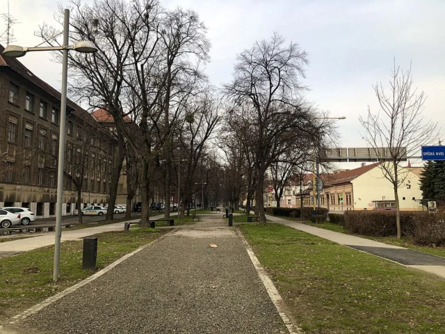 Park Moyzesova