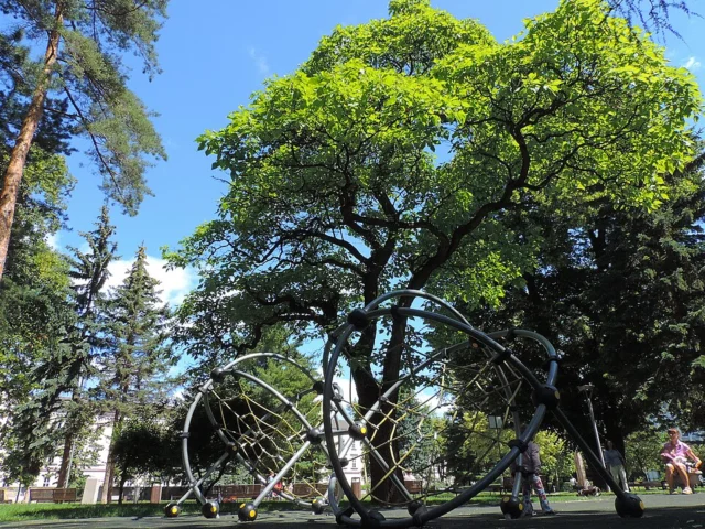 Park Komenského