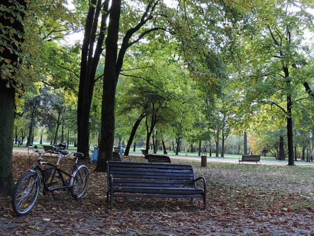 Anička