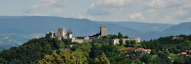 Celjski grad
