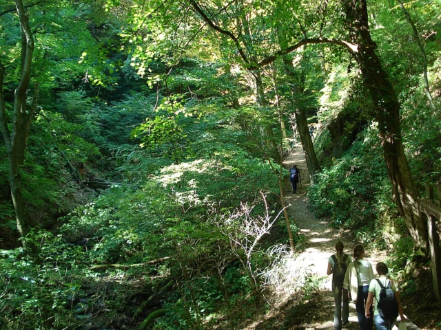 Park prirode Medvednica