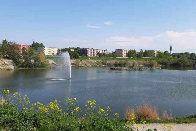 Pae park