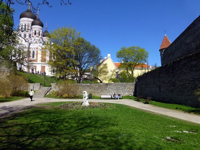 Komandandi aed