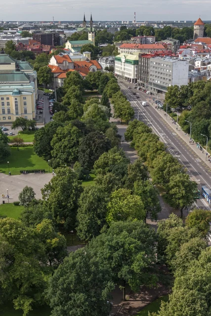 Tammsaare park