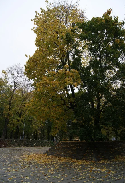 Reformatų parkas