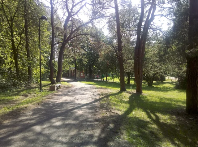 Vingis Park