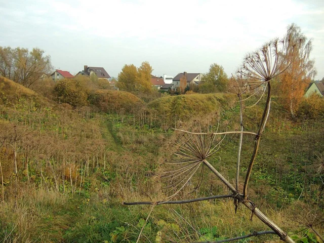Eighth Fort