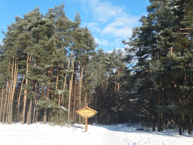 Kleboniškio miško parkas