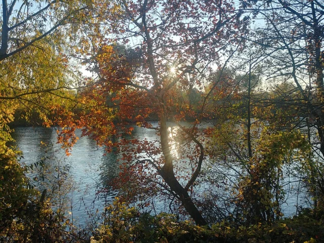 Parc de l'Île Saint-Denis