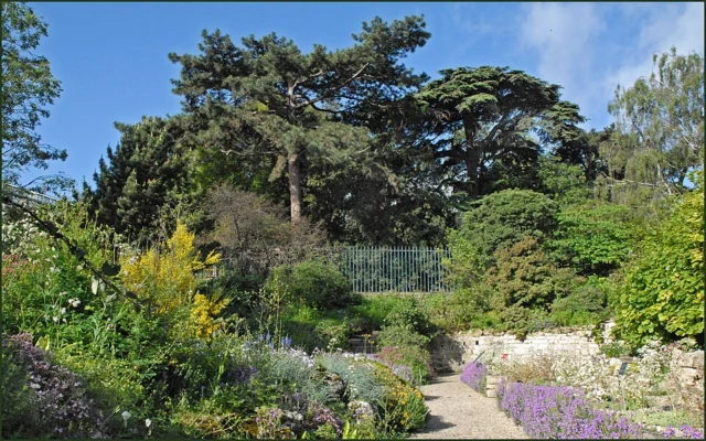 Jardin Alpin