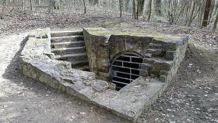 Fort Olizy