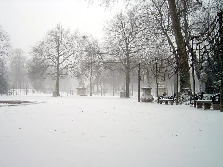 Parc de Bruxelles