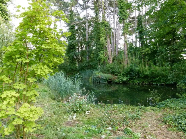 Jardin d'agronomie tropicale René-Dumont