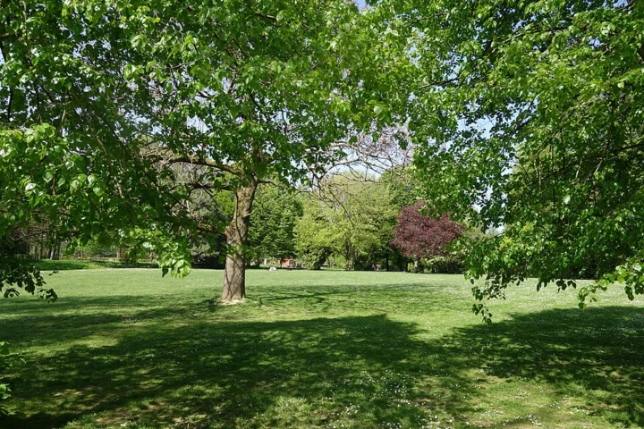 Parc Forestier