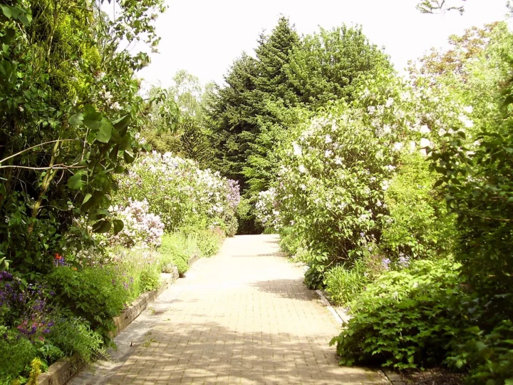 Jardin botanique Jean Massart - Botanische tuin Jean Massart