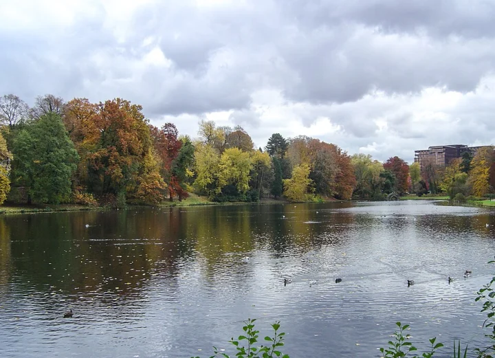 Parc Ten Reuken - Ten Reukenpark