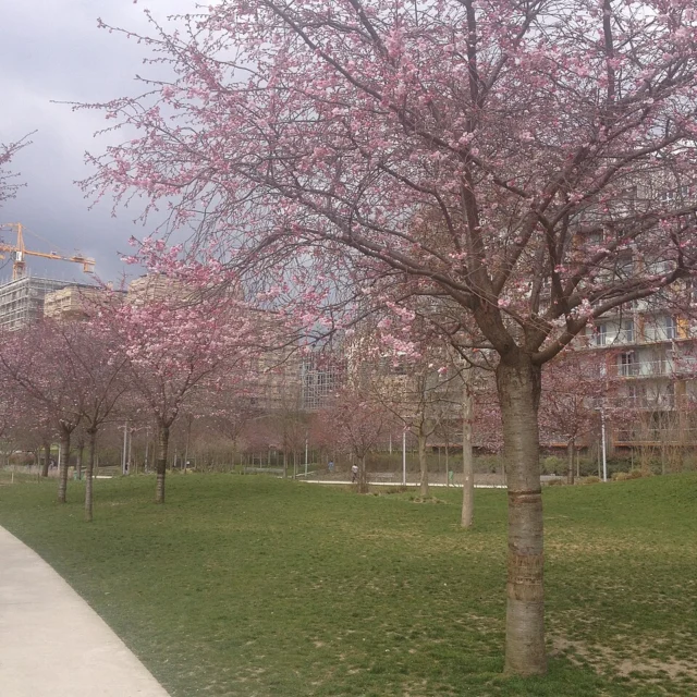 Parc Clichy-Batignolles