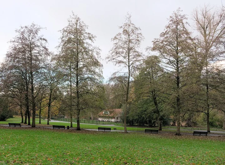Josaphat Park