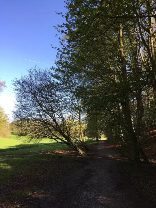Parc Schavey