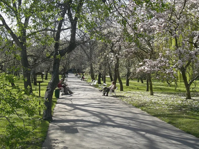 Vojanovy sady