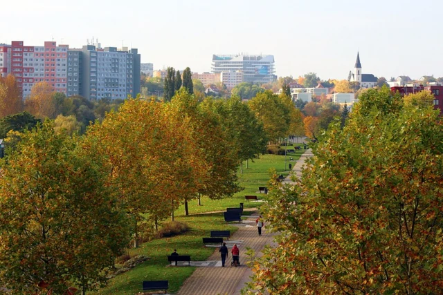 Centrální park