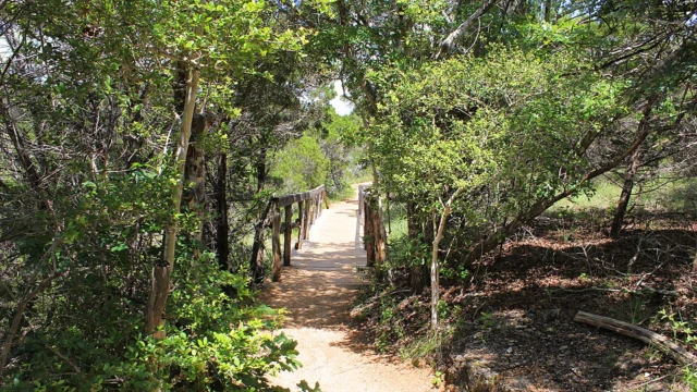 Wild Basin Wilderness Preserve