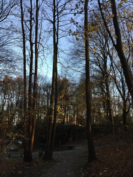 Parc de la Sauvagère - Sauvagere Park
