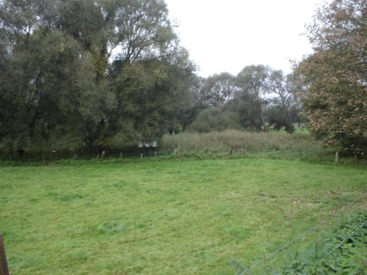 Kattebroek