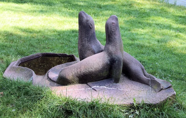 Zwei Seelöwen mit Vogeltränke