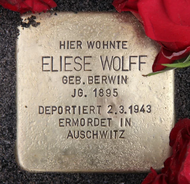 Eliese Wolff
