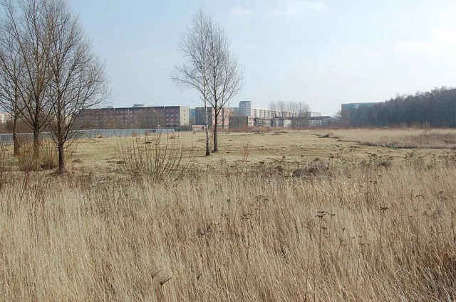 NSG Unkenpfuhle Marzahn