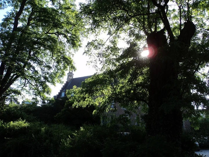 Van Dalepark