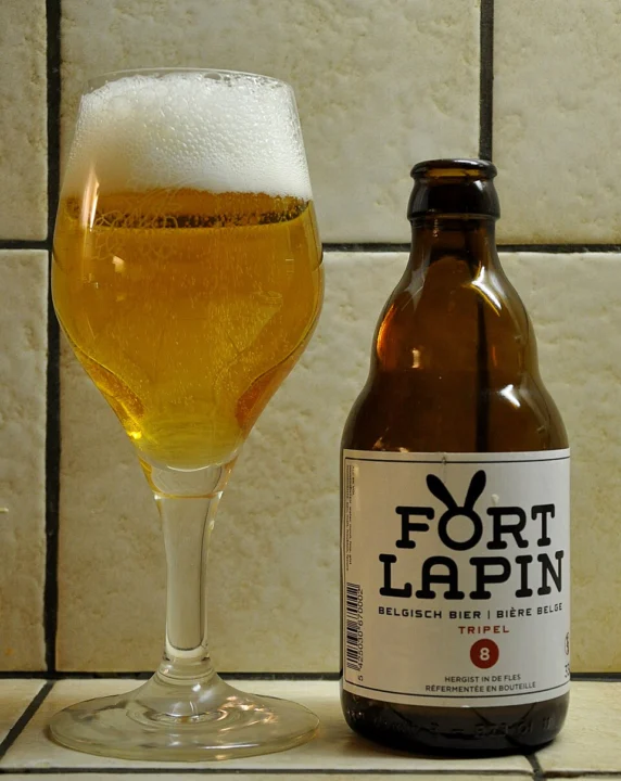 Fort Lapin