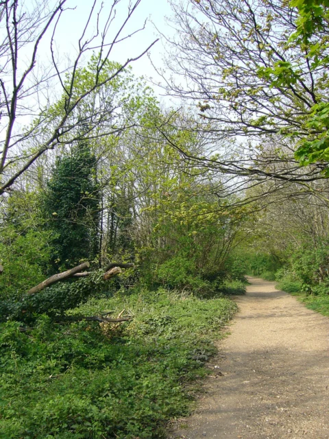 Parkland Walk Local Nature Reserve