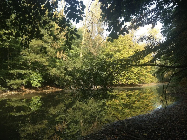 Wormelaar - Dalemansbos