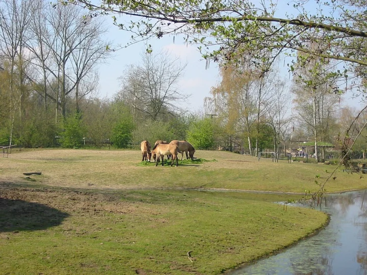 Planckendael