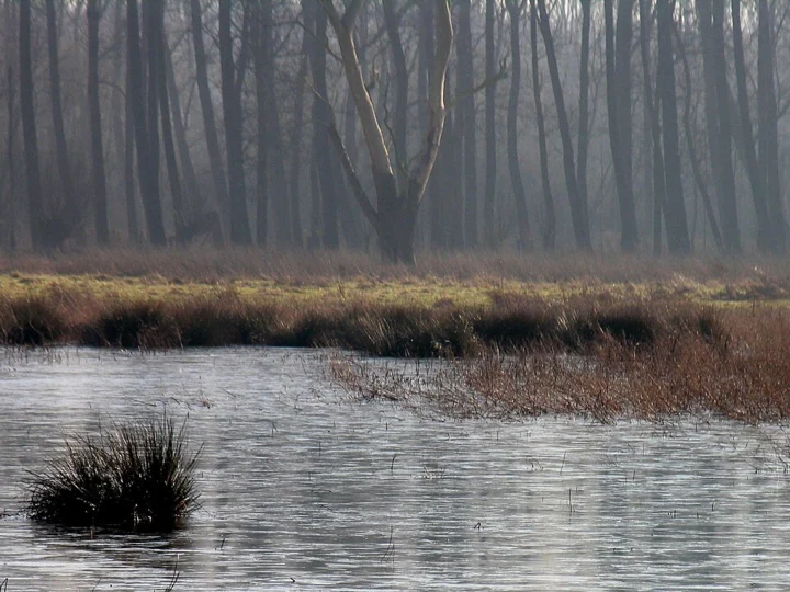 Wellemeersen