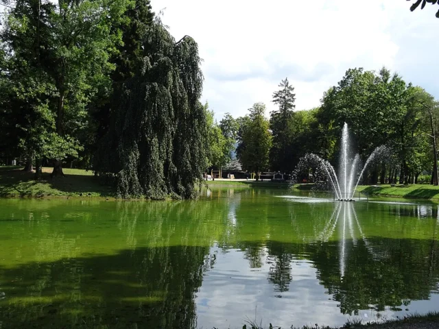 Volksgarten (Franz-Josef-Park)
