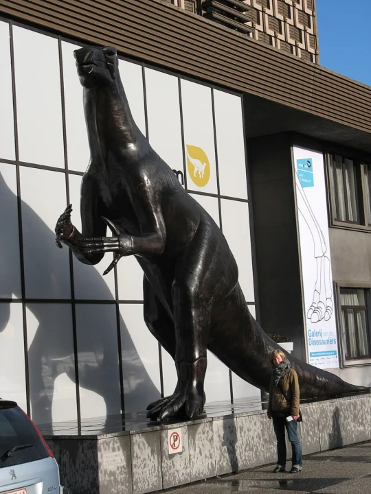 Museum for Natural Sciences of Belgium